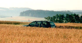 Feld bei Flözlingen